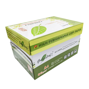 绿叶优等品 高档复印纸 A4  80g（规格：1箱）